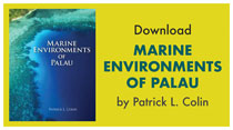 Marine Environments of Palau book cover